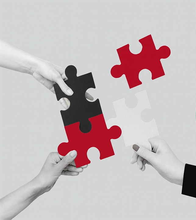 Business consulting team providing strategic guidance and professional advisory services.