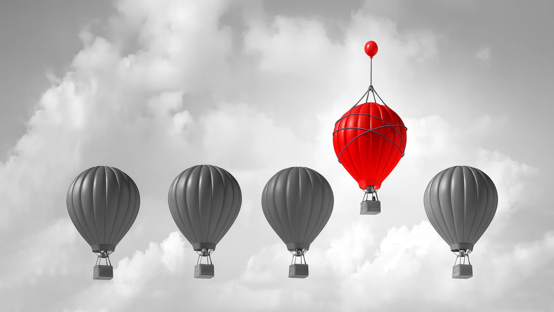 Avalon Studio team specializing in branding, digital marketing, web and app development, photography, video production, and business consulting.